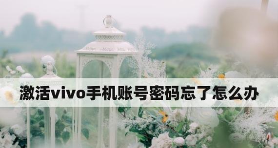忘记vivo账户密码怎么办（找回vivo账户密码的简易指南）