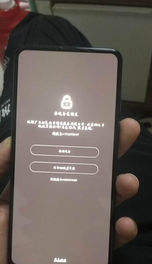 手机解锁方法大揭秘（探索手机解锁方法的多样性及其关键特点）