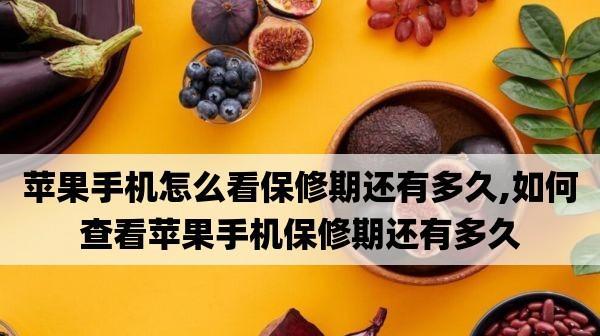 苹果产品官方保修期揭秘（保修服务政策全解析，让你的设备更安心）