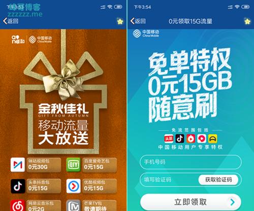 定向流量（解读定向流量的概念、特点与应用）