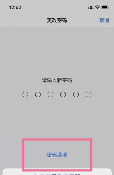 如何快速解锁iPhone锁屏密码（一步步教你轻松解开iPhone的密码锁）