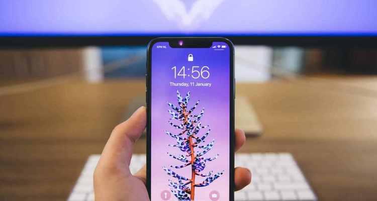 苹果NFC功能（掌握iPhone上的NFC功能，享受更智能的支付方式）