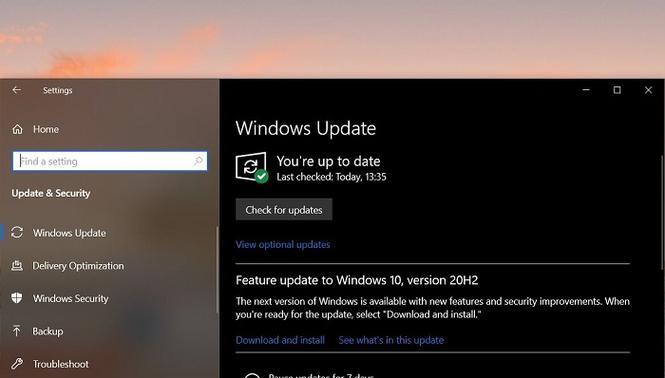 Win10系统摄像机黑屏处理方法大全（解决Win10系统摄像机黑屏问题的有效方法汇总）