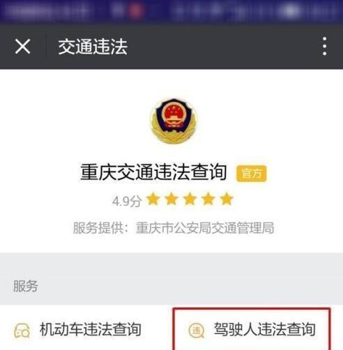 线上怎么处理违章扣分罚款（线上处理违章流程图解）