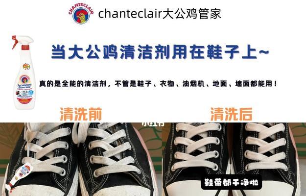 小白鞋清洗油烟机的完美指南（轻松清洁油烟机）