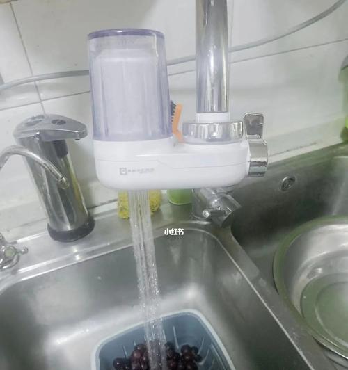 净水器无法正常冲水的原因及解决方法（净水器冲不上水的可能原因分析及解决方案）