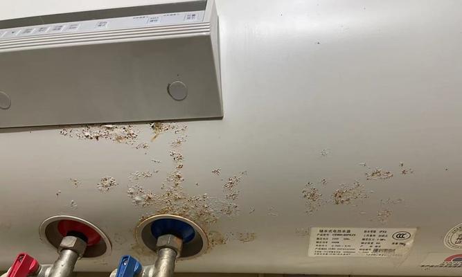 解决热水器共振异响问题的有效方法（避免热水器共振异响）