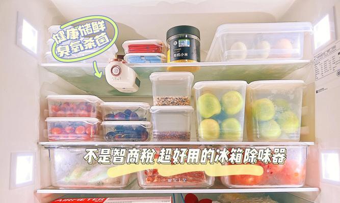 冰箱除味盒的使用方法（简单有效的去除冰箱异味）