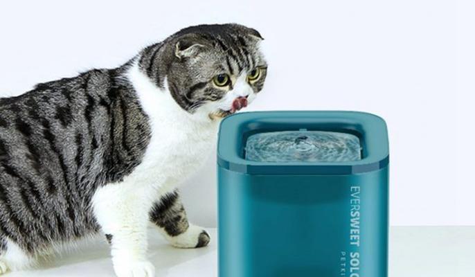 如何维修猫咪饮水机（解决饮水机故障的实用指南）