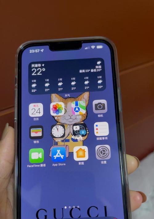如何使用iPhone进行马赛克操作（简单快捷的马赛克技巧）