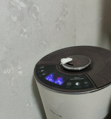 小熊洗衣机清洗方法（便捷高效的小熊洗衣机清洗攻略）