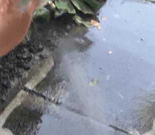 高压水枪清洗燃气灶的正确方法（保障家庭用具安全）