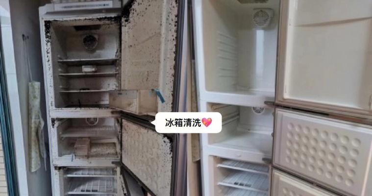 无电清洗冰箱，轻松解决细菌繁殖问题（清洗冰箱不用电）