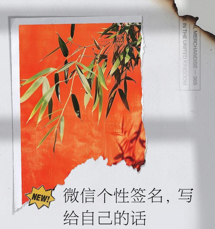 微信个性签名怎么改？更改步骤和注意事项是什么？
