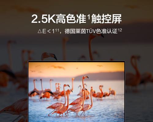 笔记本电脑用什么软件保存视频？