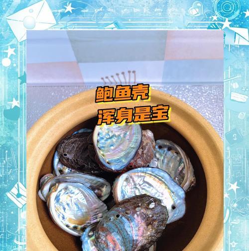鲍鱼保留外壳怎么杀？清洗鲍鱼外壳有哪些技巧？