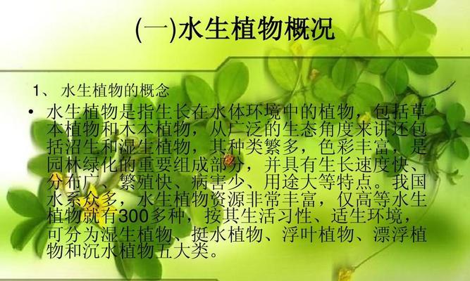 小佐电脑新配置性能如何？适合哪些用途？
