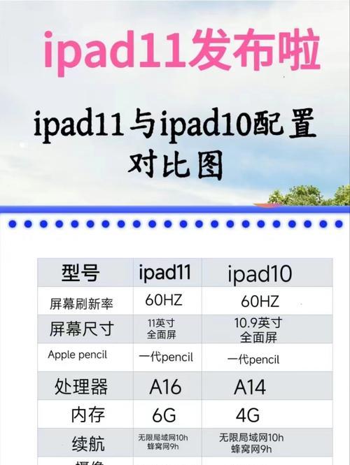 笔记本苹果打开开发者模式的步骤是什么？