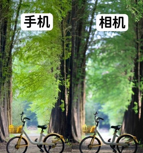 数码相机适合拍摄哪些场景？使用技巧有哪些？