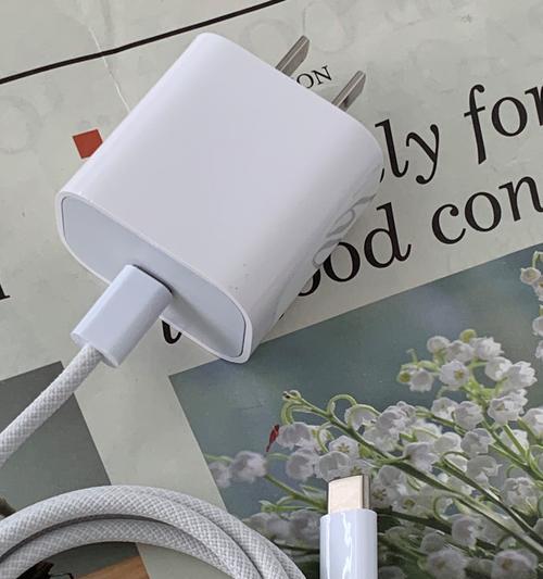 正版充电器插头苹果使用方法是什么？
