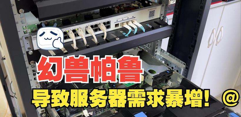 帕鲁主播使用的服务器品牌是什么？