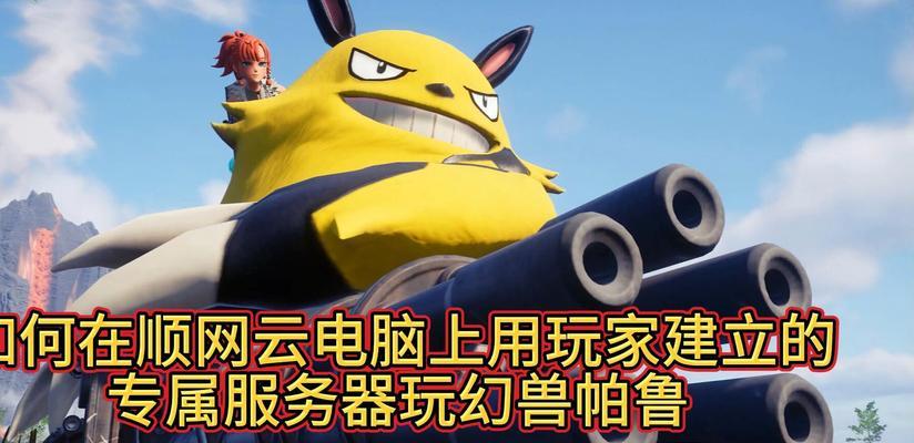 帕鲁主播使用的服务器品牌是什么？