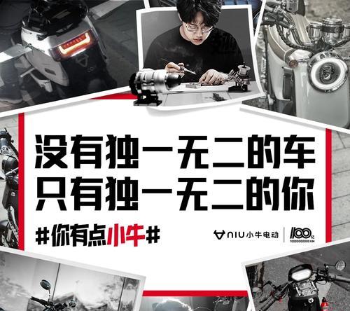 小牛进藏充电器怎么用？使用方法和注意事项是什么？