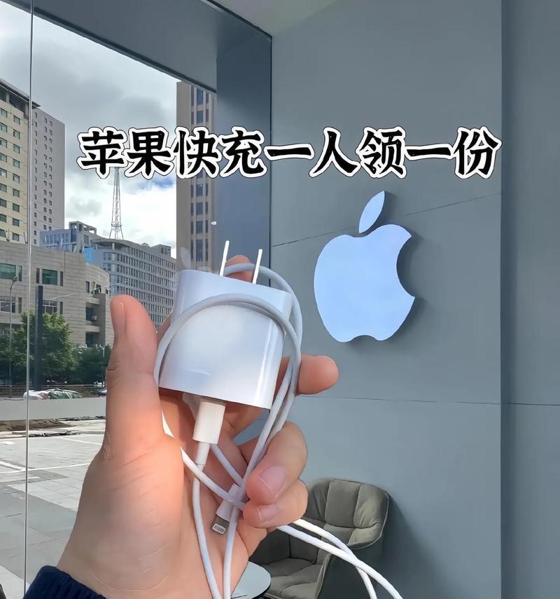 6spro手机应该使用哪种充电器？如何选择合适的充电器？