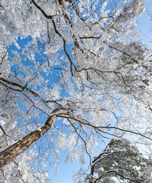 苹果巴拉圭版手机激活流程是什么？