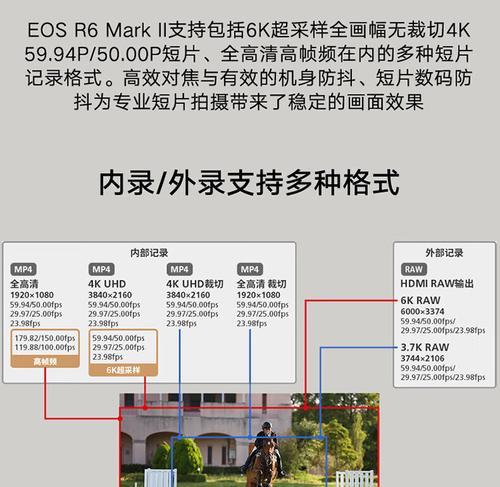 佳能相机如何进行直播设置？设置步骤有哪些？