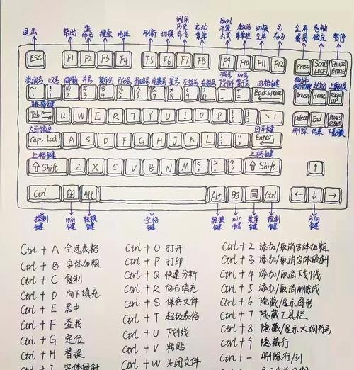 笔记本电脑抖音伴侣设置步骤是什么？如何使用？