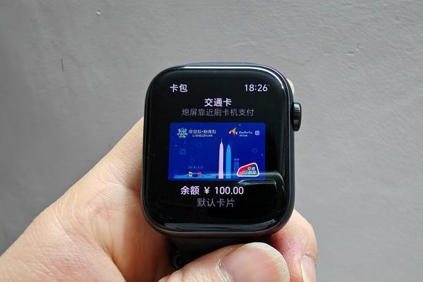 网智能手表如何使用？连接手机和应用的步骤是什么？