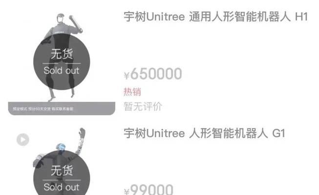 春晚上展示的人工智能产品叫什么？它的功能特点是什么？