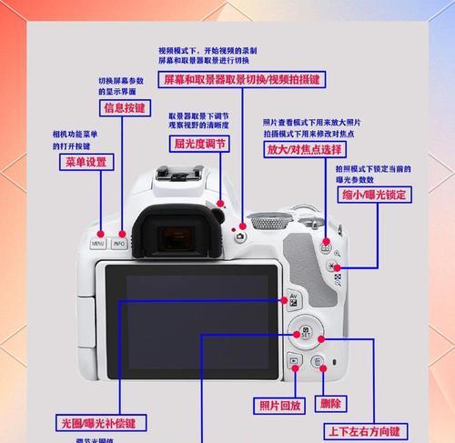 佳能d系列排列方式是什么？