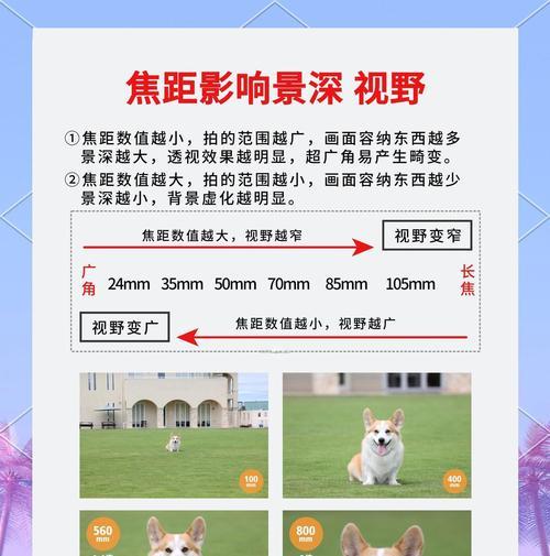 新相机镜头检查步骤是什么？如何确保镜头无损？