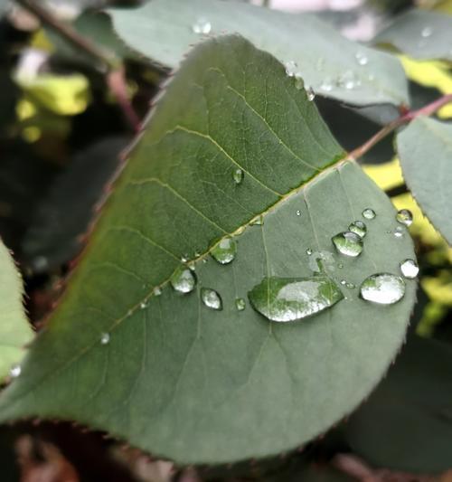 如何拍摄出相机镜头上的水珠效果？