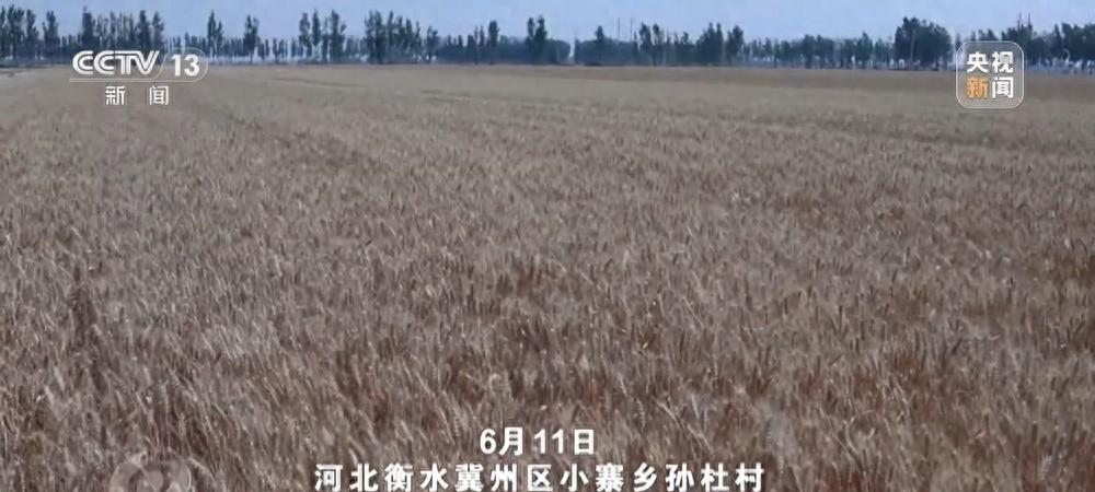 农机装上“智慧大脑”、无人机变身照明灯,科技助力“麦”向丰收