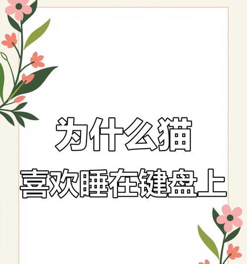 小猫爬键盘什么意思？键盘上的小猫图案代表什么？
