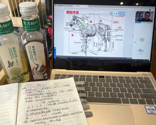 键盘揩油一词在电脑术语中代表什么？