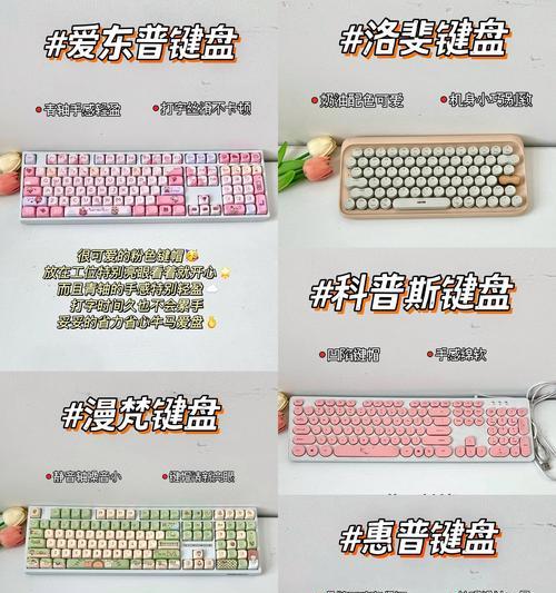 更新键盘布局与美式键盘的含义是什么？