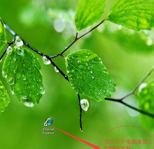 电脑内部清理指南：如何清除电脑中的虫子？