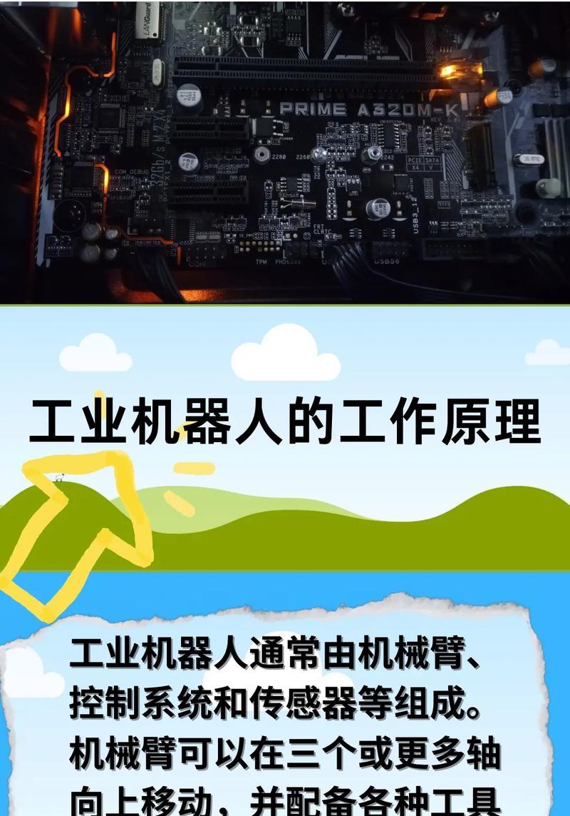 农产品加工中使用哪些机器人？这些机器人的优势是什么？