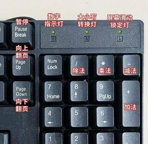 诺亚亚智能手机性能如何？用户对其评价怎么样？