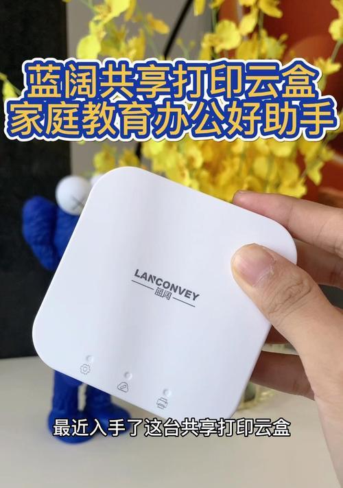 蓝阔打印云盒有线连接打印机方法？如何确保稳定连接？
