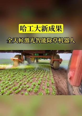 农业机器人都有哪些功能？它们如何提高效率？