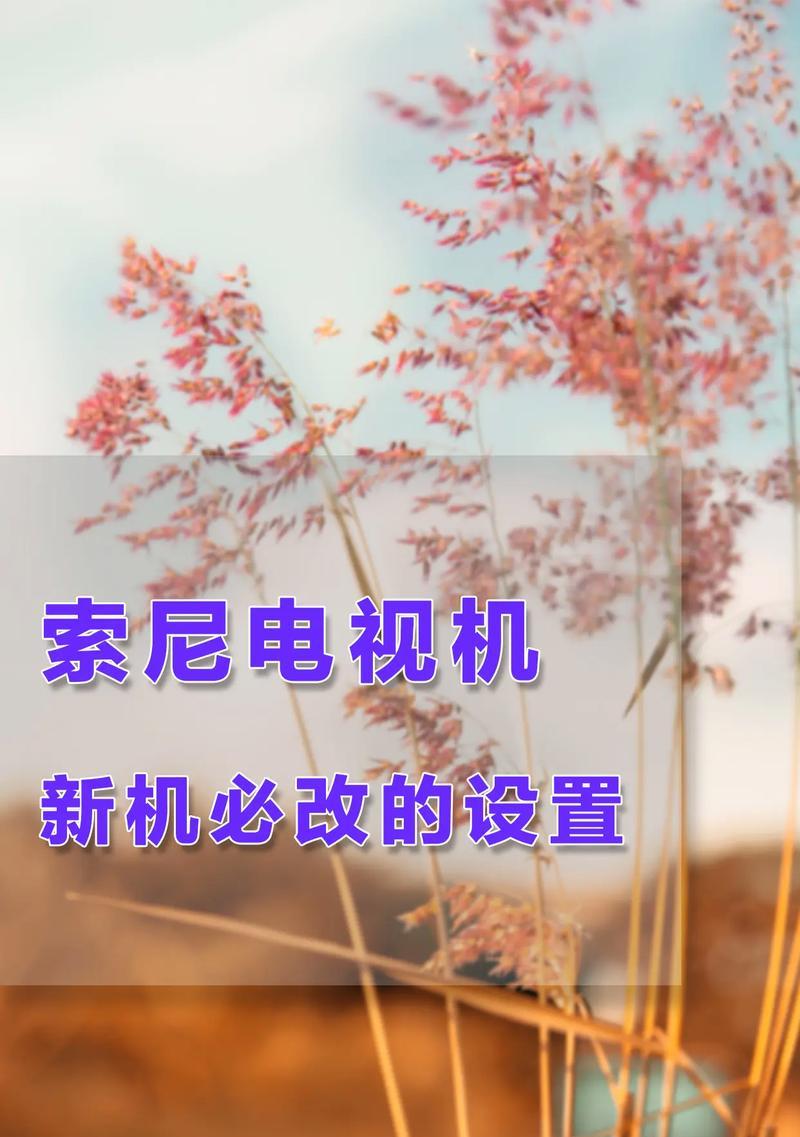 电视搜台需要进行哪些设置？设置后如何优化信号接收？