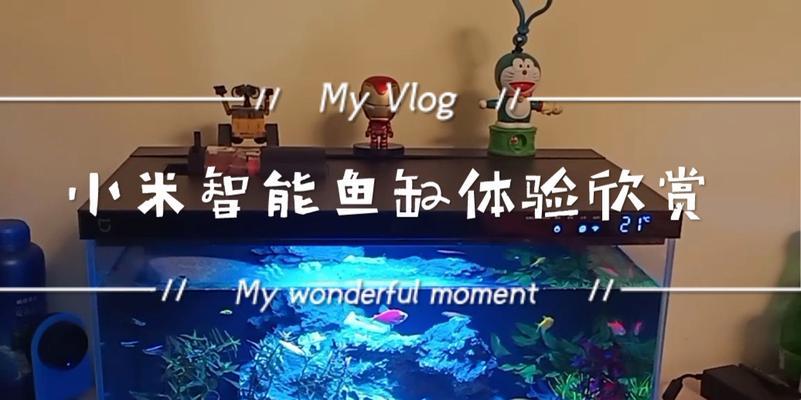小米智能鱼缸摄像头的连接步骤是什么？