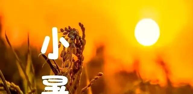 【台风丹娜丝跑偏大拐弯，新一轮降雨中心已定，大雨暴雨分布如下】图2