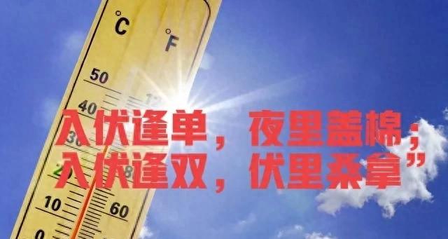 【“入伏逢单，夜里盖棉；入伏逢双，伏里桑拿”，今年的入伏在哪？】图1