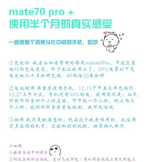 Pro系列不采用大电池的原因是什么？对续航有何影响？
